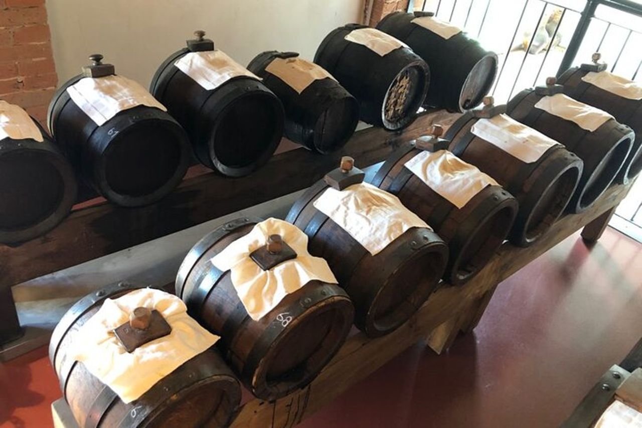 Private Tour of a traditional Acetaia, Modena tastes, and its UNESCO heritage — 5