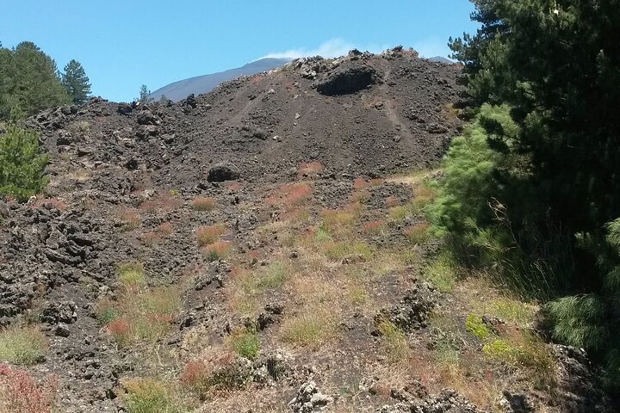 Tour al Vulcano Etna e Taormina da Giardini Naxos - Taormina — 6