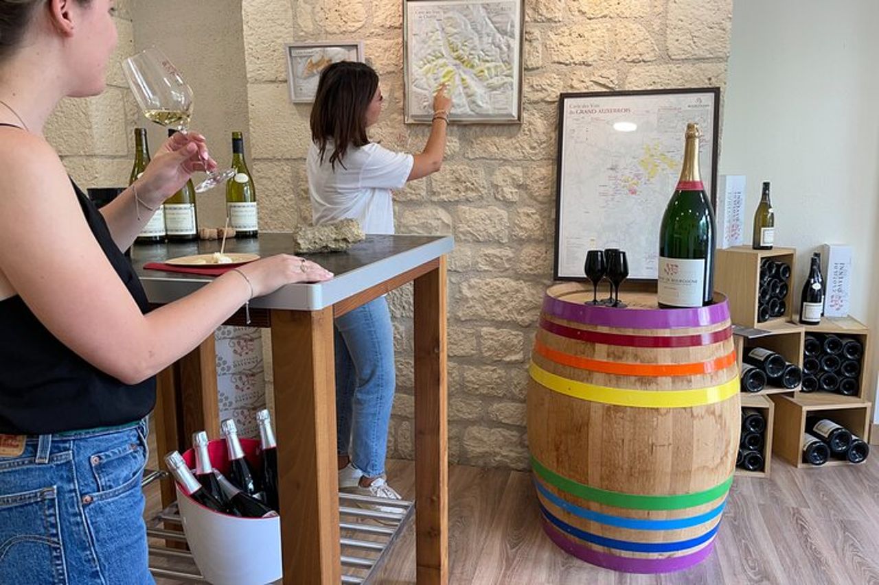 Giro privato dei Grands Crus con degustazione di e-Mehari e Chablis — 3