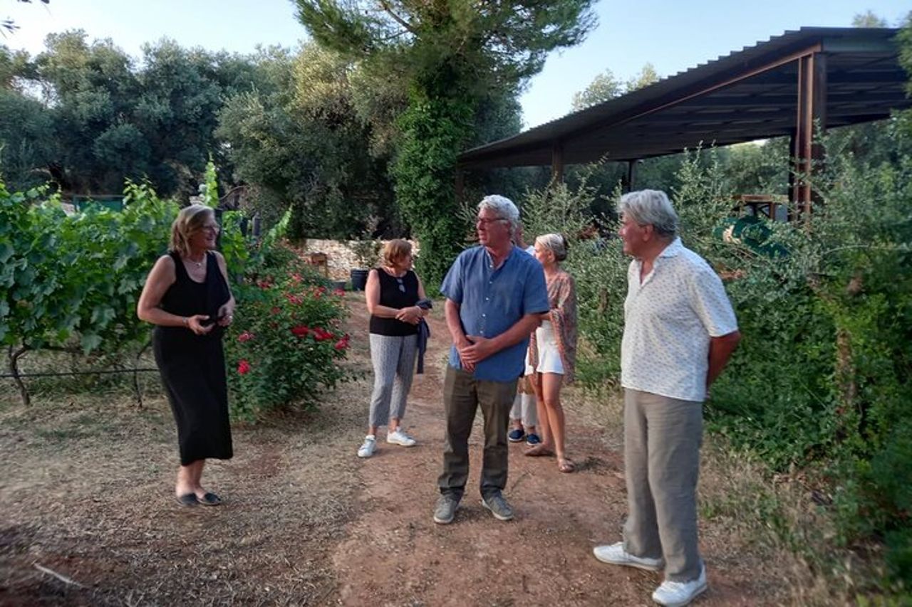 Ostuni DOC winetour e tasting. — 2