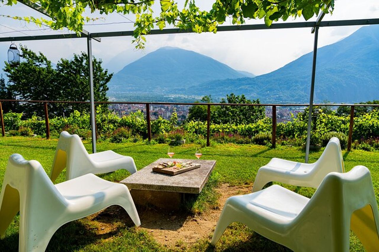 Assapora i vini dell'Ossola e le prelibatezze locali in un vigneto panoramico