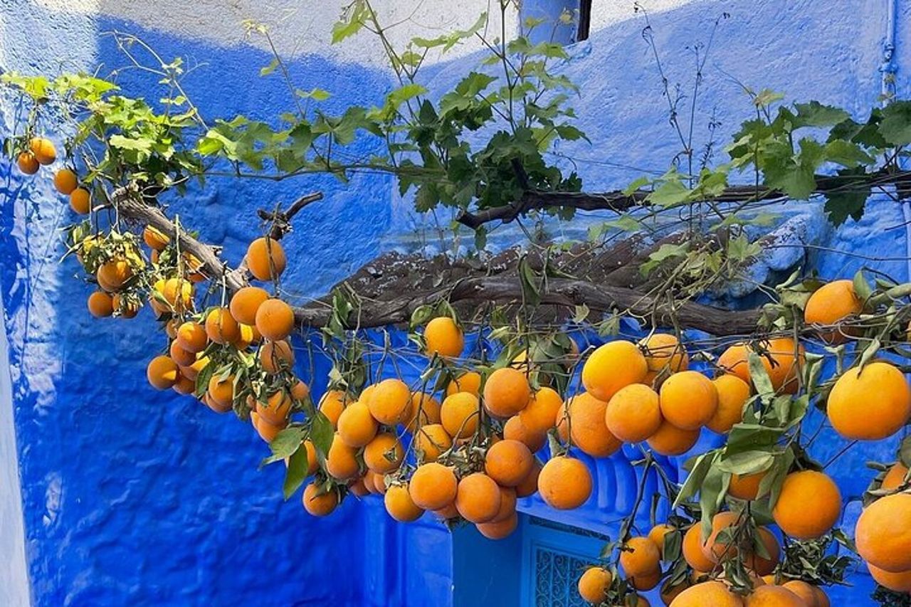 Tour di un'intera giornata alla città blu di Chefchaouen in piccoli gruppi — 6