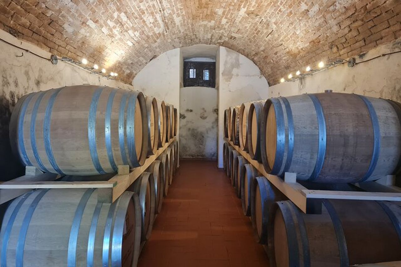Degustazione di vino e olio — 7