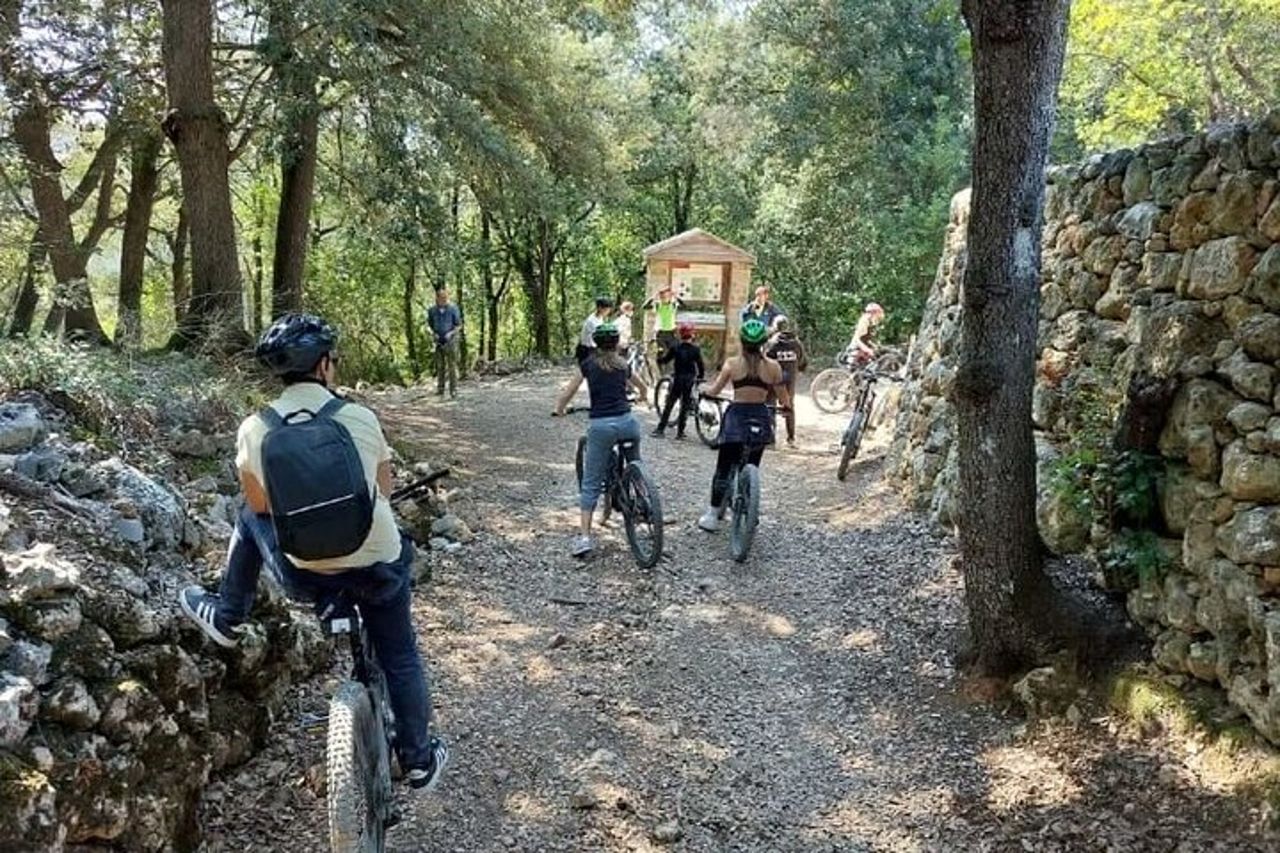 Noleggio di E-Bike per l'intera giornata a San Gimignano — 4