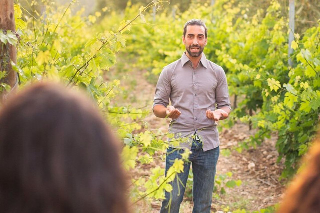 Degustazione di Vini Privata Guidata con Giro alle Vigne a Vieste — 2