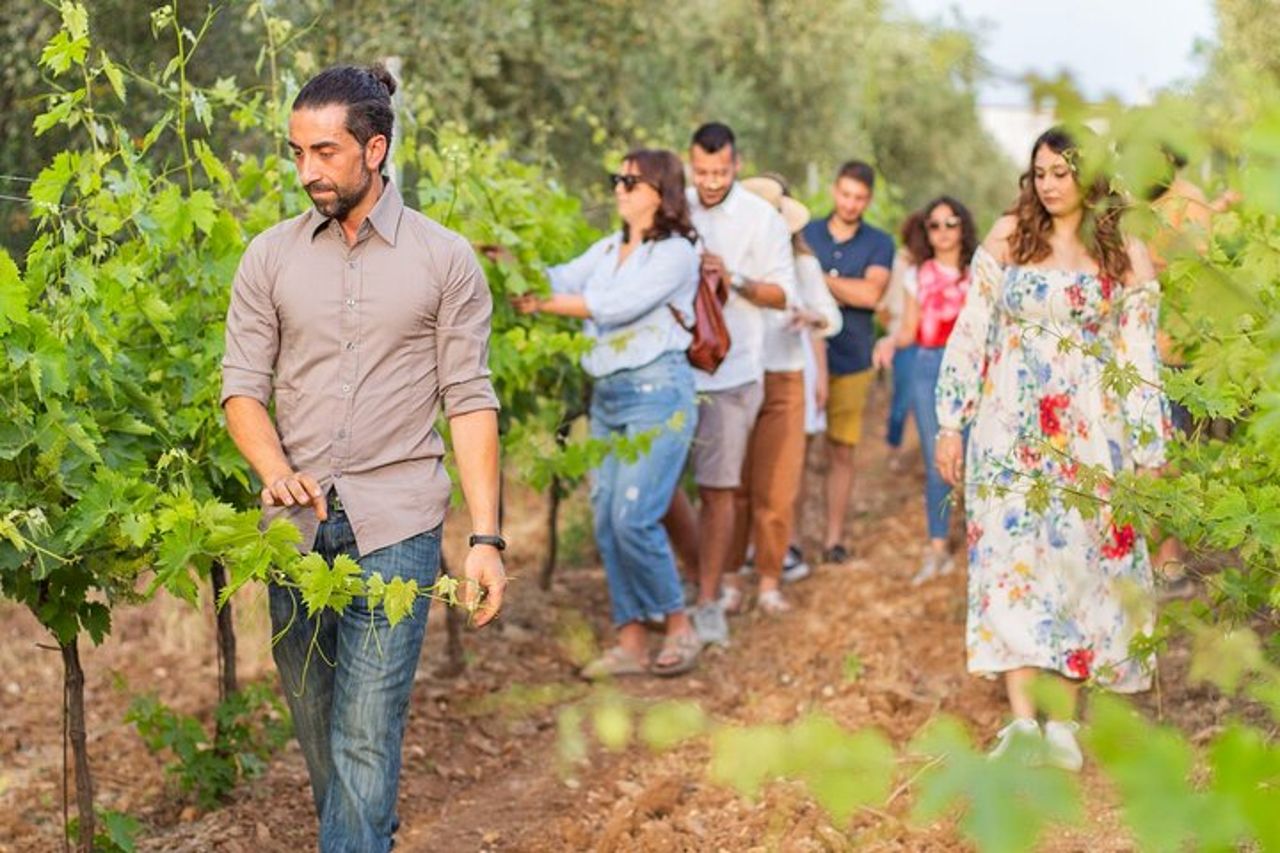 Degustazione di Vini Privata Guidata con Giro alle Vigne a Vieste — 6
