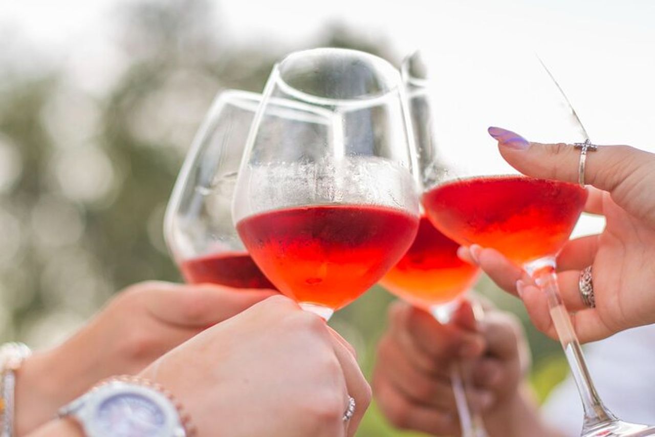 Degustazione di Vini Privata Guidata con Giro alle Vigne a Vieste — 7
