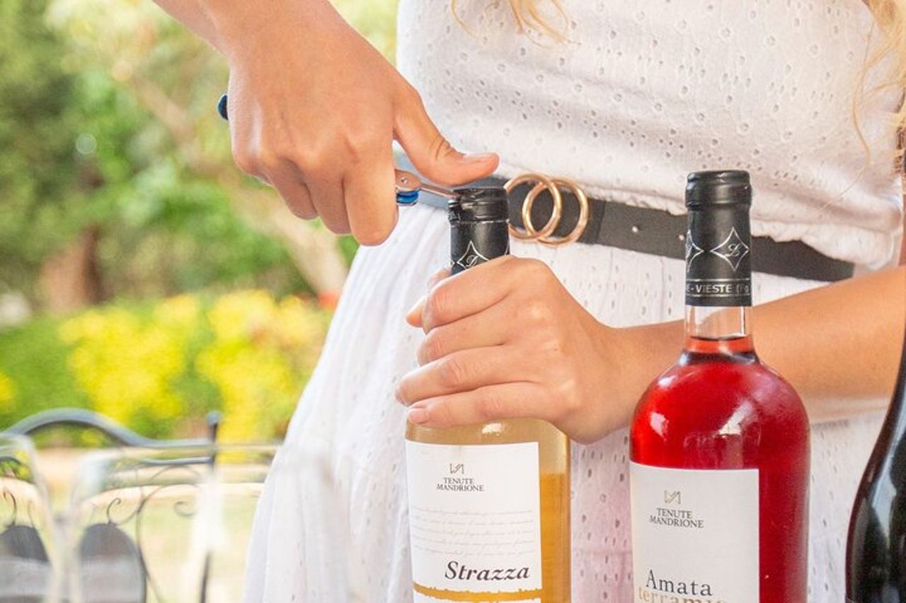 Degustazione di Vini Privata Guidata con Giro alle Vigne a Vieste — 8