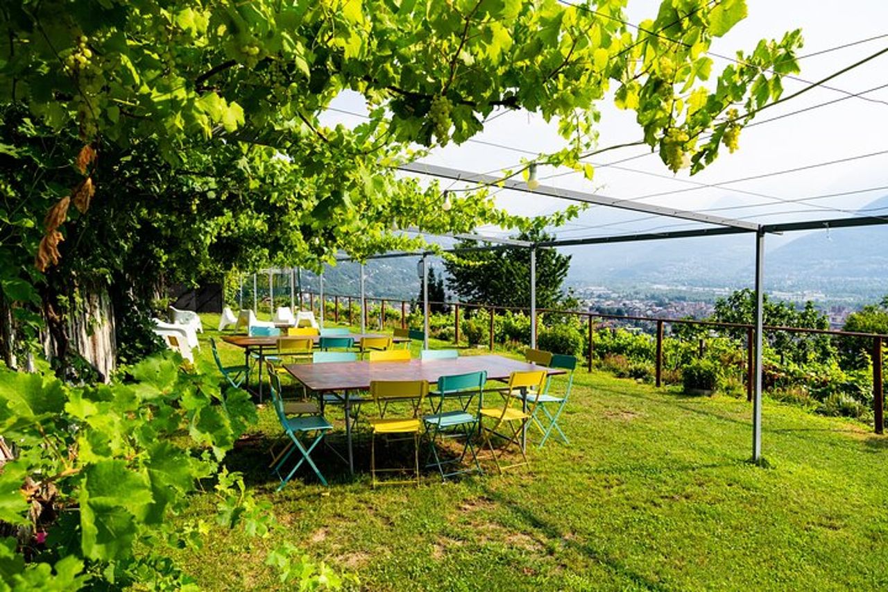 Assapora i vini dell'Ossola e le prelibatezze locali in un vigneto panoramico — 6