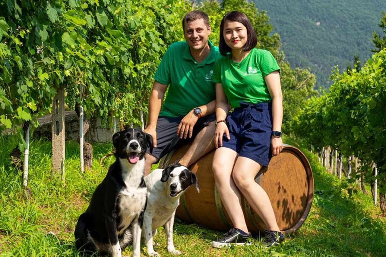 Assapora i vini dell'Ossola e le prelibatezze locali in un vigneto panoramico — 5