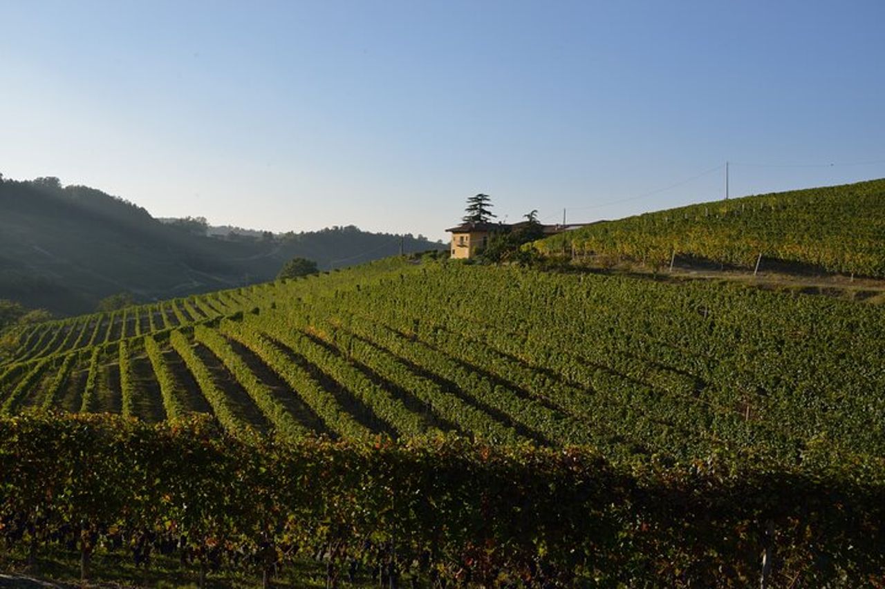 Tour e degustazione di vino e cioccolato nella zona di Alba — 9