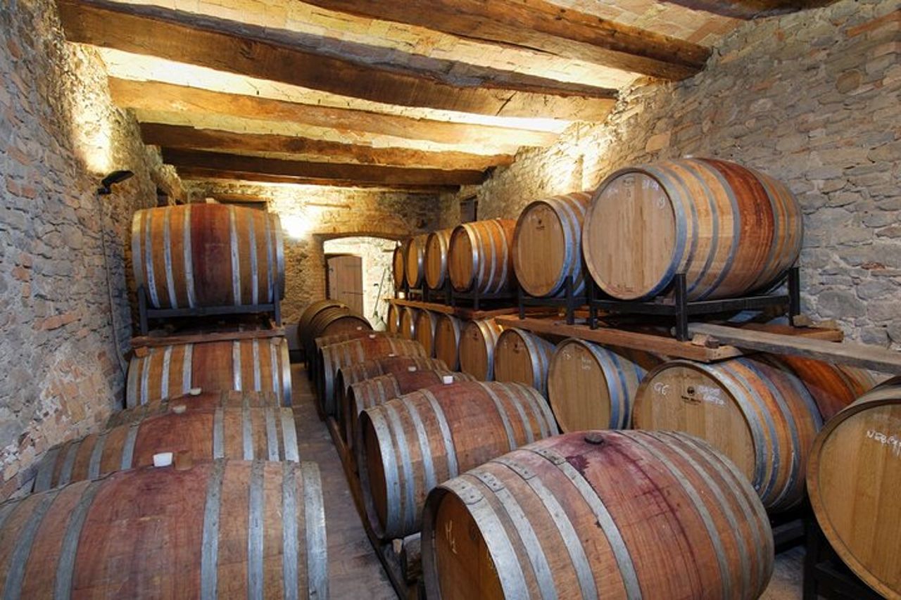 Tour e degustazione di vino e cioccolato nella zona di Alba — 6