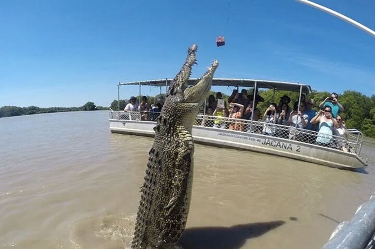 Il Croc Bus per la famosa crociera sui coccodrilli che saltano — 2