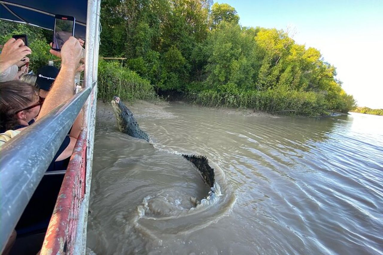 Il Croc Bus per la famosa crociera sui coccodrilli che saltano — 8