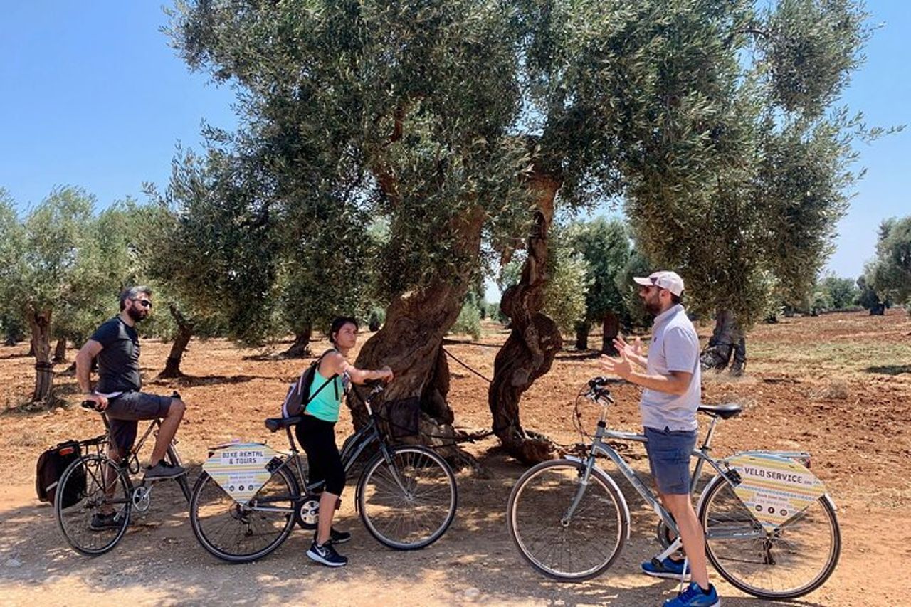 La campagna di Monopoli in bicicletta — 5