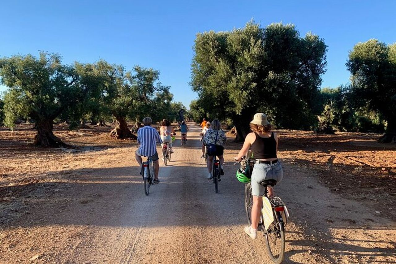 La campagna di Monopoli in bicicletta — 8
