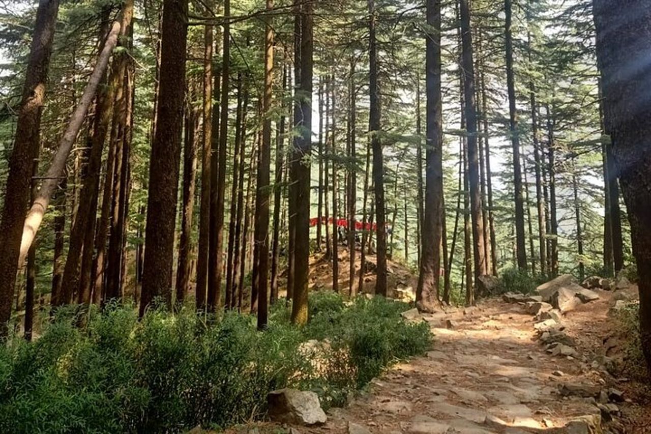 Circuito guidato di Kora e tour a piedi intorno a McLeod Ganj — 9
