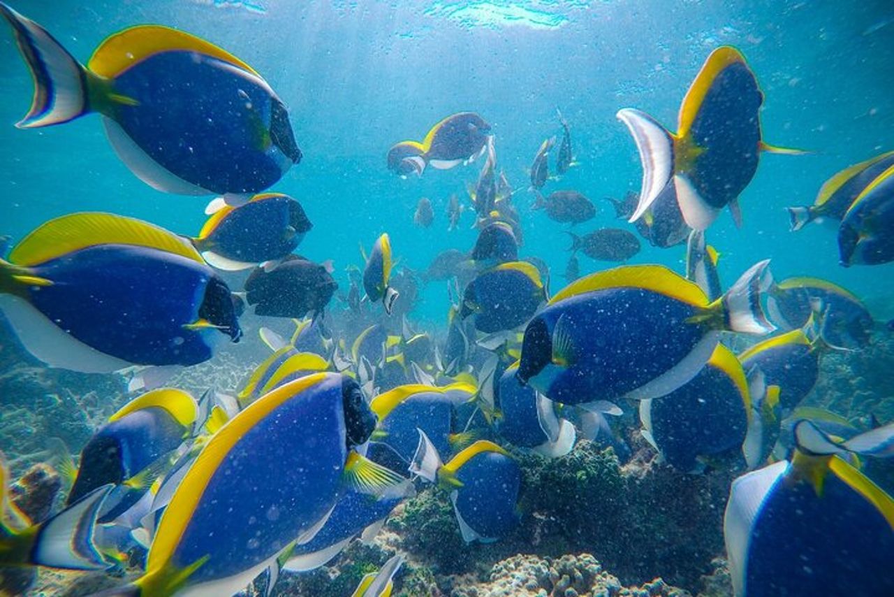 Scopri Maafushi in 4 notti 5 giorni (Tour B) — 8