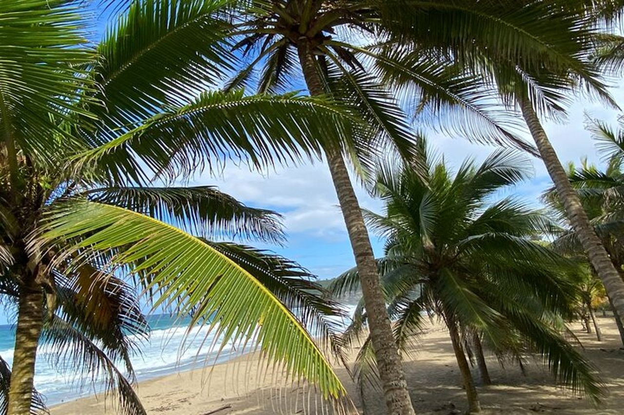 Tour panoramico privato di Aguadilla per l'intera giornata — 5