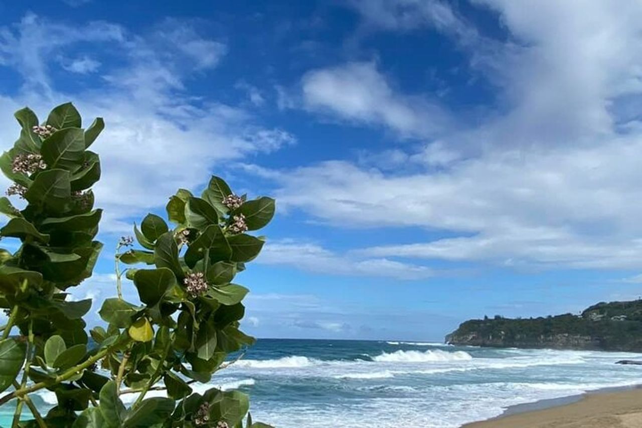 Tour panoramico privato di Aguadilla per l'intera giornata — 9