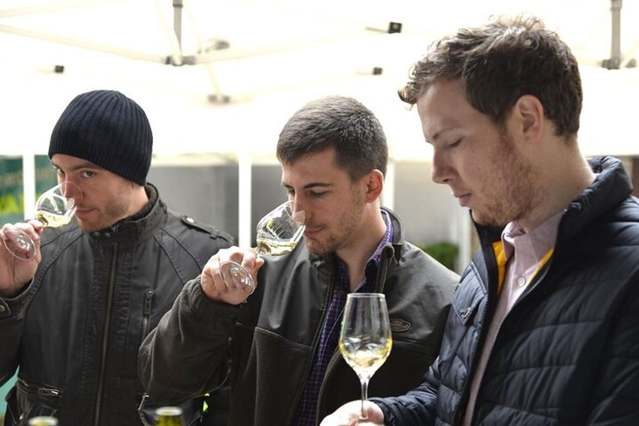 Visita e degustazione di vini Chablis al Domaine Clotilde Davenne in inglese — 5