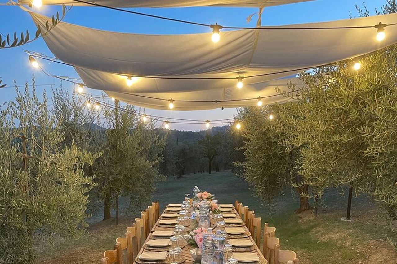 Pensate ad un romantico pasto all'ombra degli ulivi, accompagnato dai vini Toscani! — 8