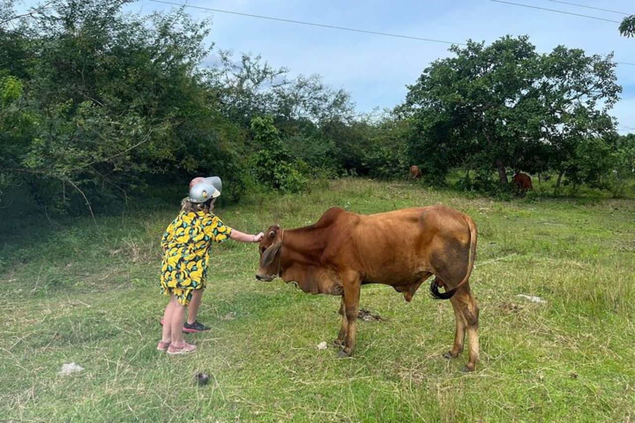 Tour in moto di un giorno intero (riserva naturale di Hon Ba e barbecue) — 8