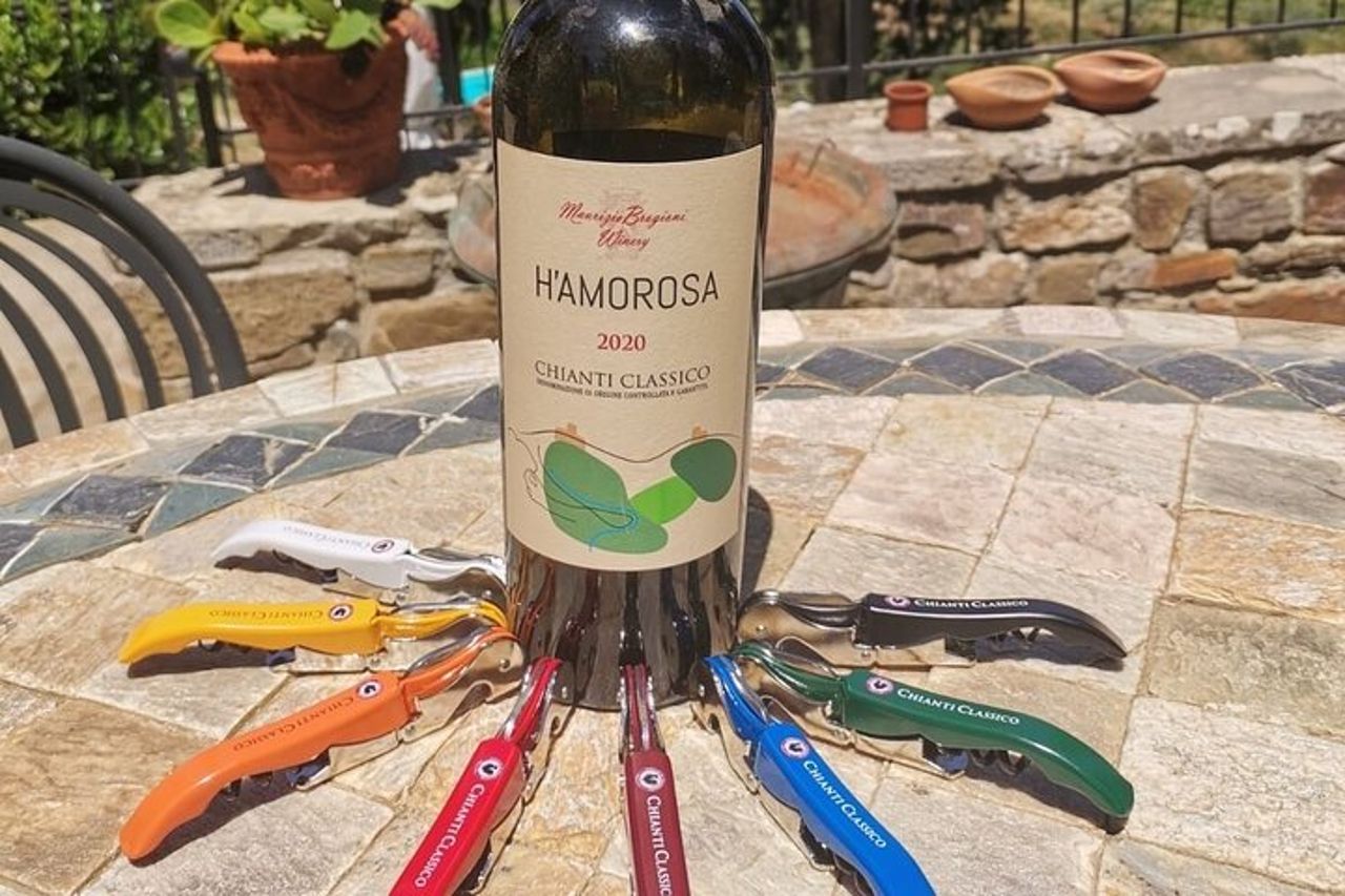 Degustazione di vini e visita della cantina a Greve in Chianti — 7