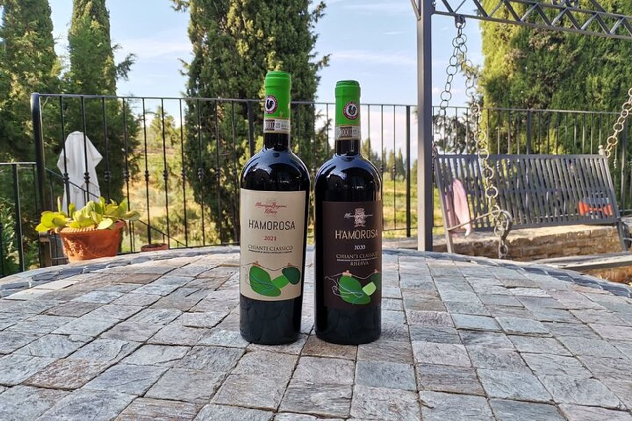 Degustazione di vini e visita della cantina a Greve in Chianti — 9