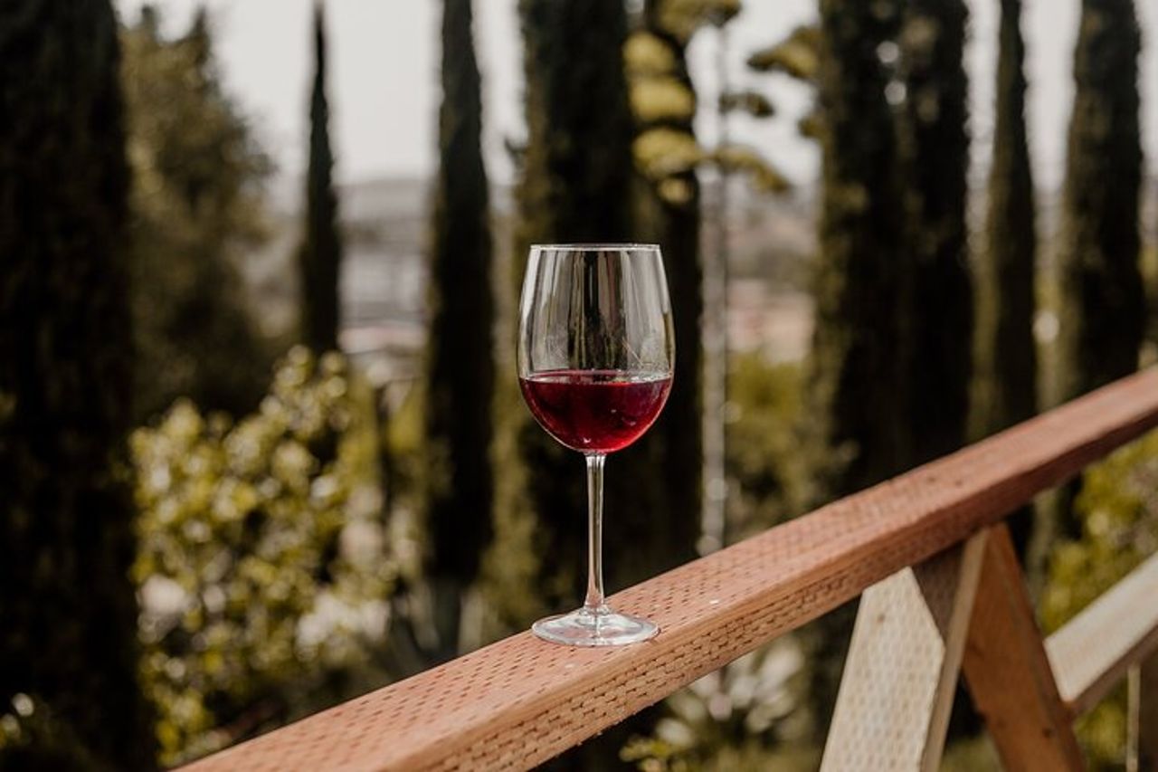 Tour privato di un'intera giornata della Baja California Capital of Wine — 6