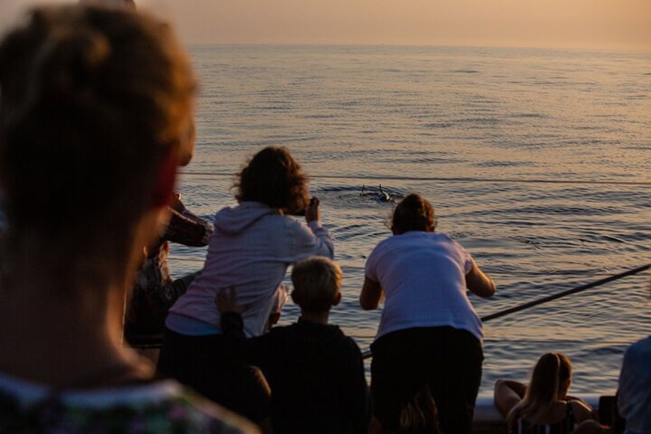 Gita in barca all'alba a Maiorca con Dolphin-Watching — 7