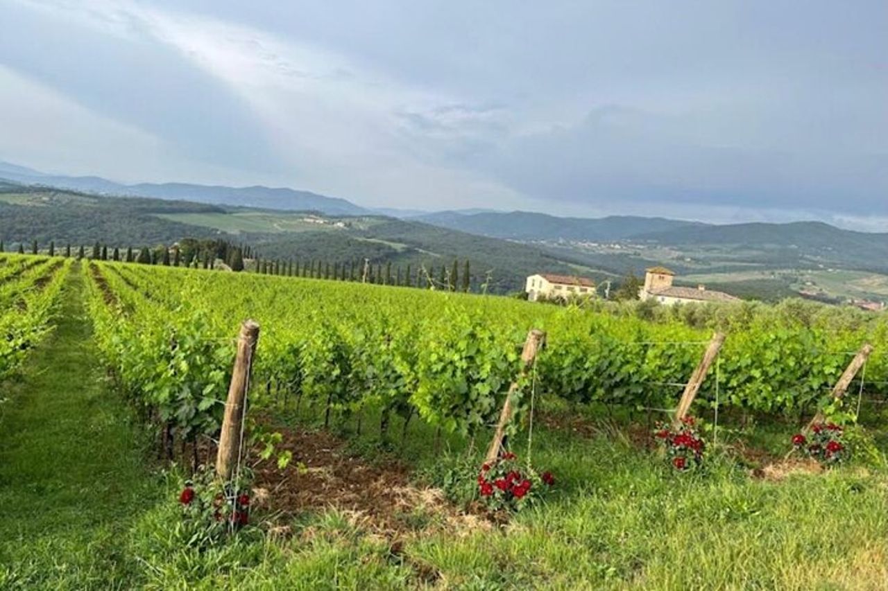 Visita Del Chianti Classico E Della Campagna Toscana — 2