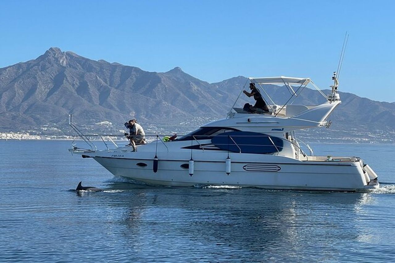 2 ore di osservazione dei delfini a Marbella — 7