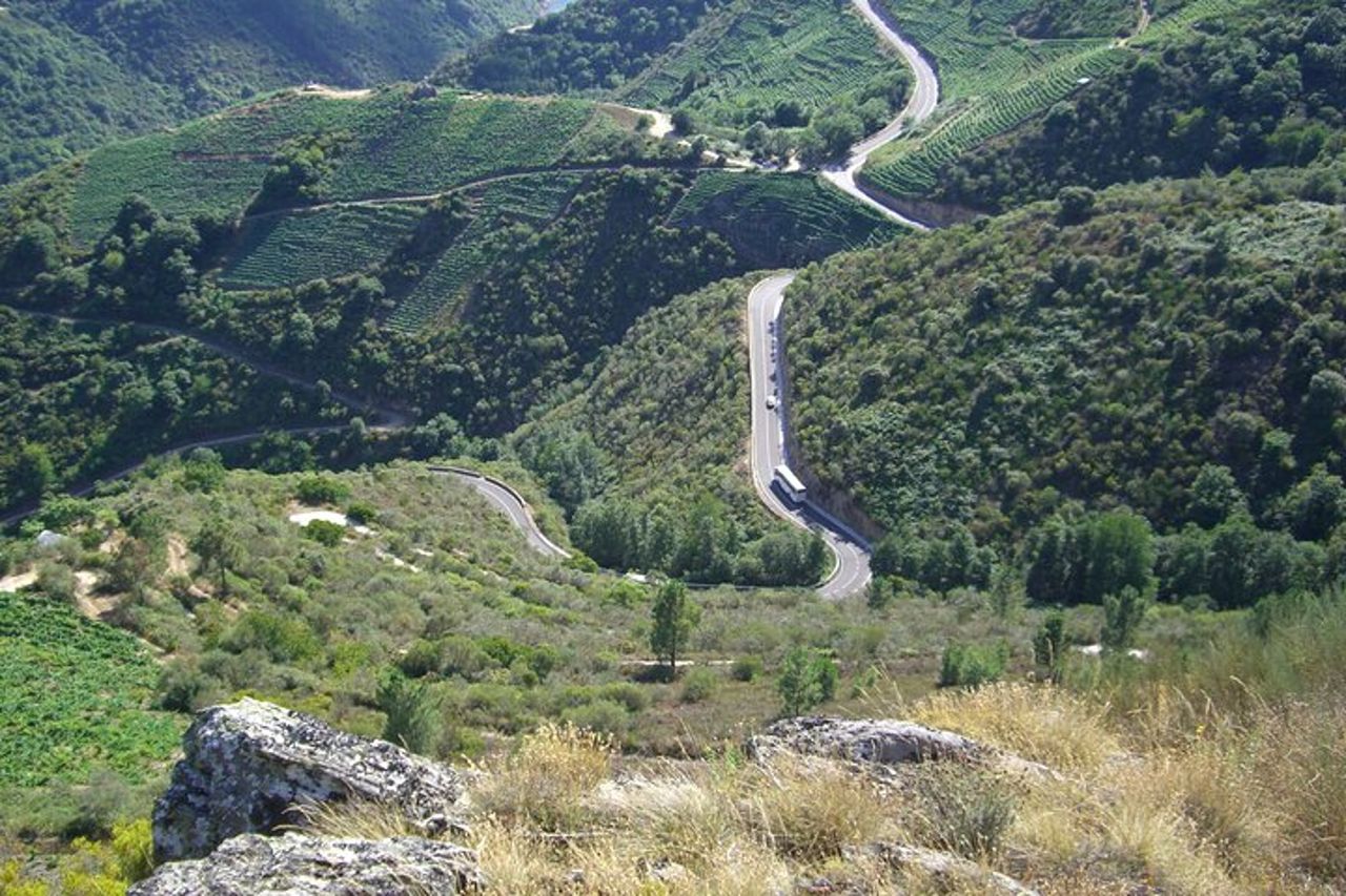 Ribeira Sacra in barca (facoltativa), visita di Ourense da Santiago — 6