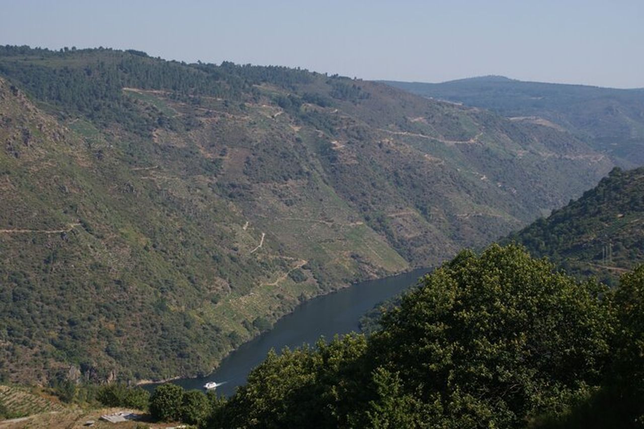 Ribeira Sacra in barca (facoltativa), visita di Ourense da Santiago — 7