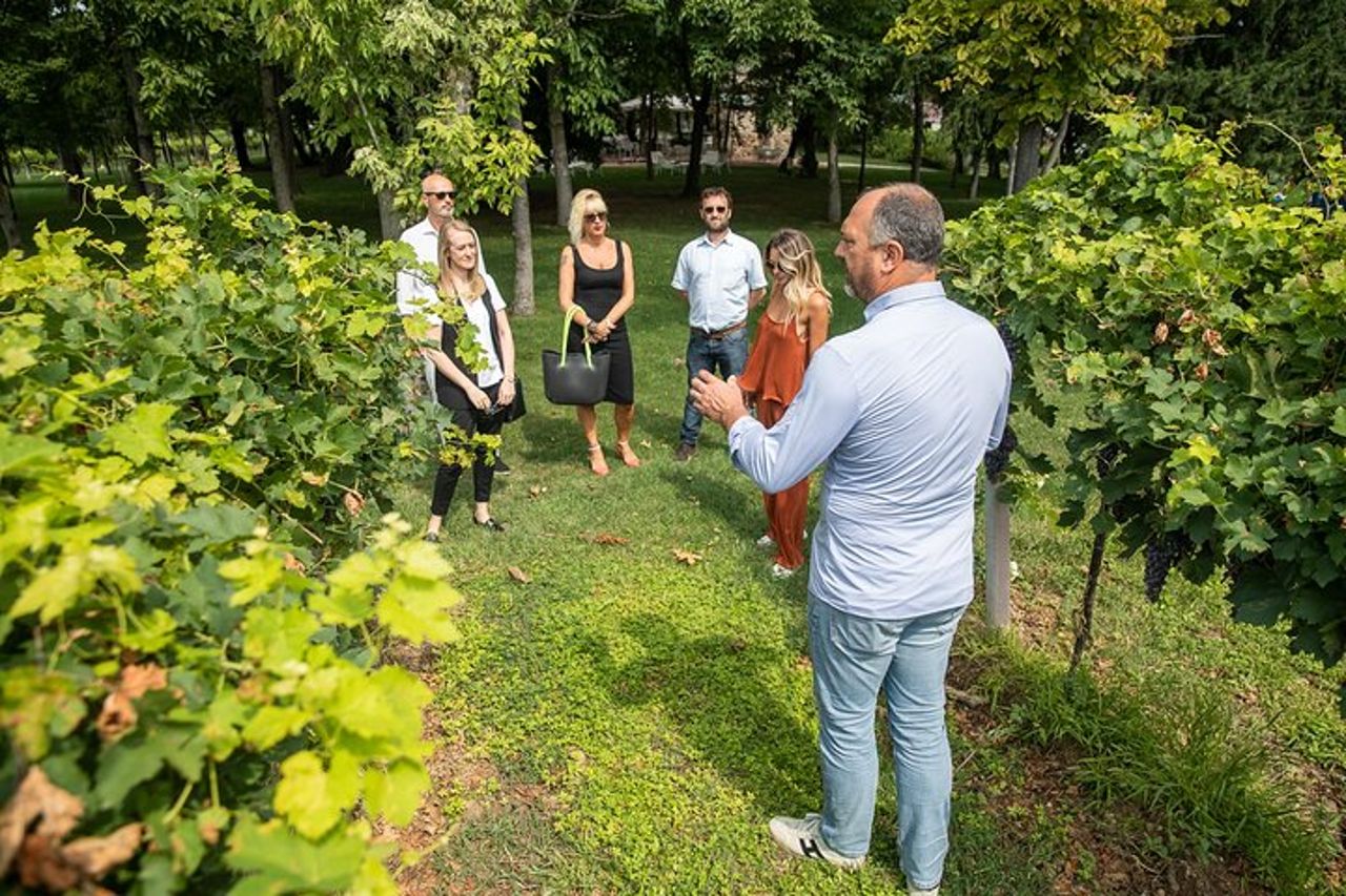 Tour e Degustazione di Vini Biologici a Lazise