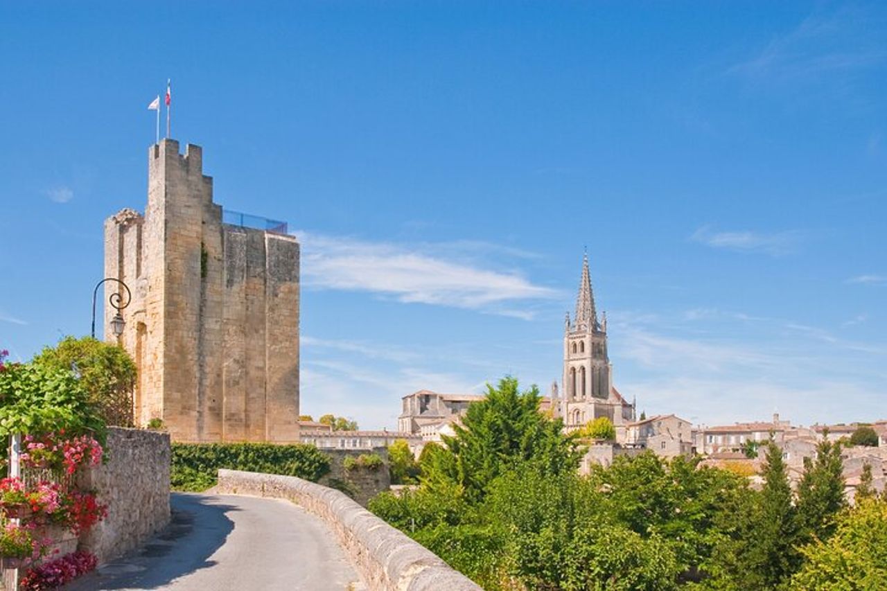 Tour di mezza giornata di Saint Emilion con degustazione di vini e visita della cantina da Bordeaux — 7