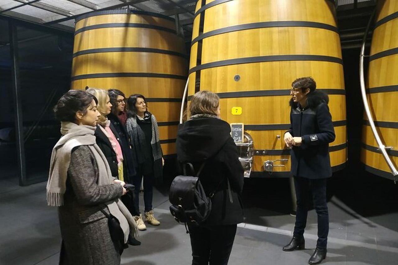 Tour di un giorno del vino della regione del Medoc con visite e degustazioni di vigneti da Bordeaux — 8