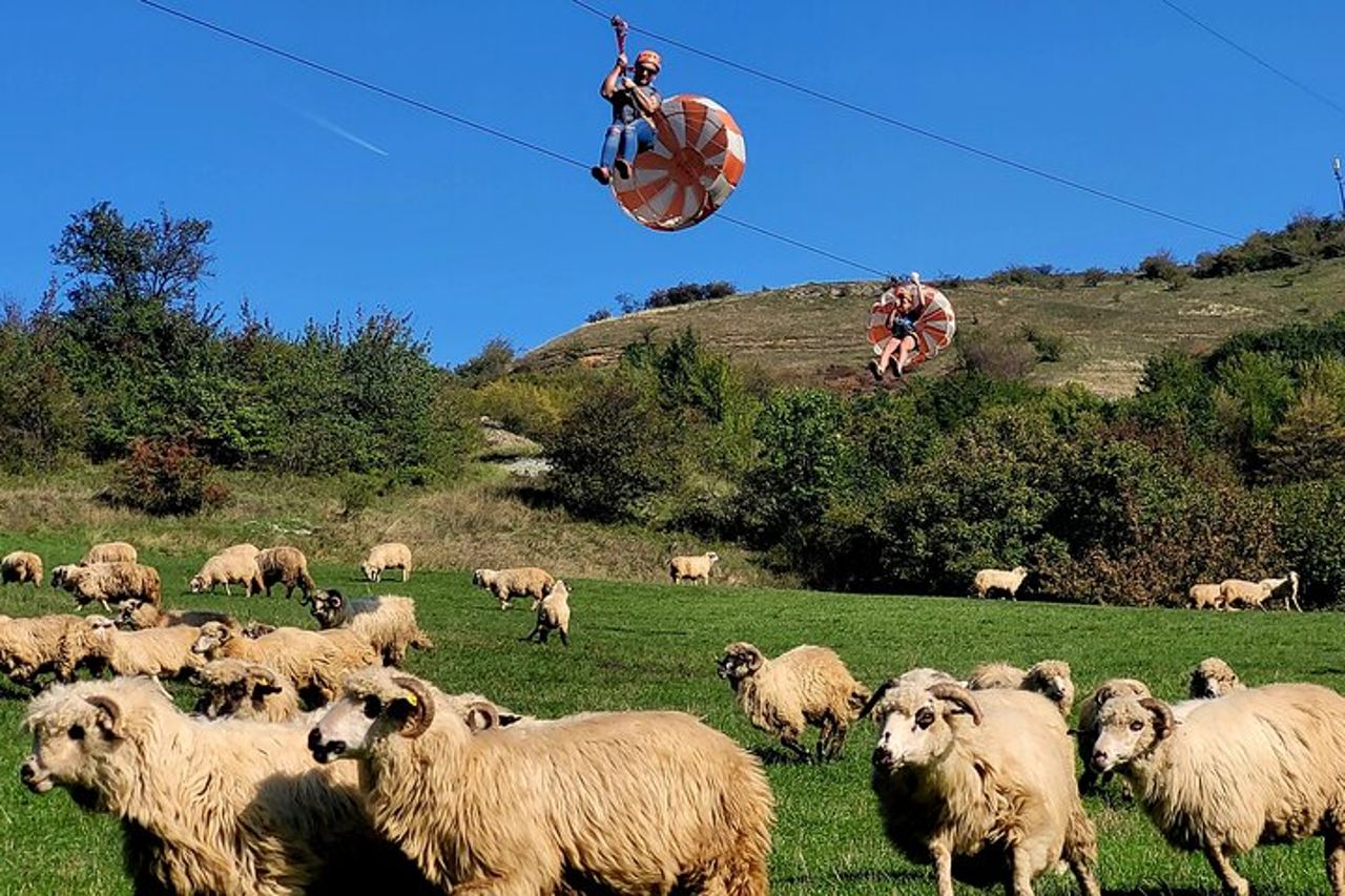 TOUR AVVENTURA DI CLUJ! ZIP LINE e HIKE
