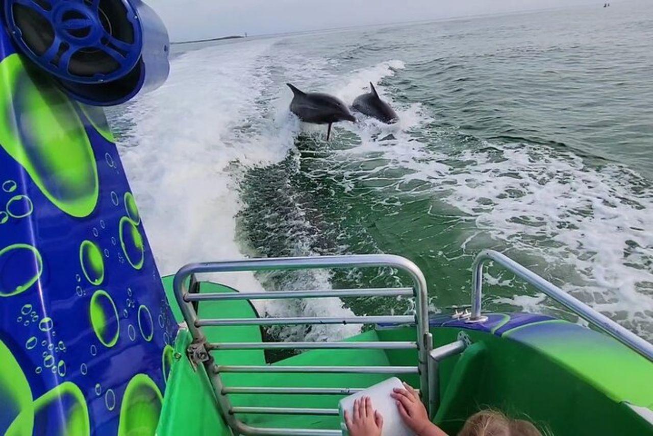 Crociera con delfini a Destin FL — 8