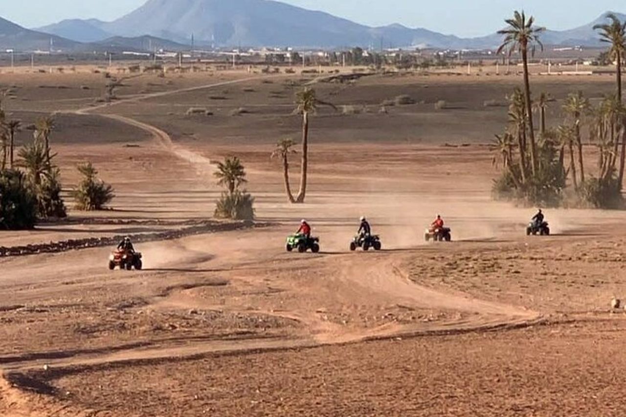 Giro privato in quad nel deserto del palmeto — 2