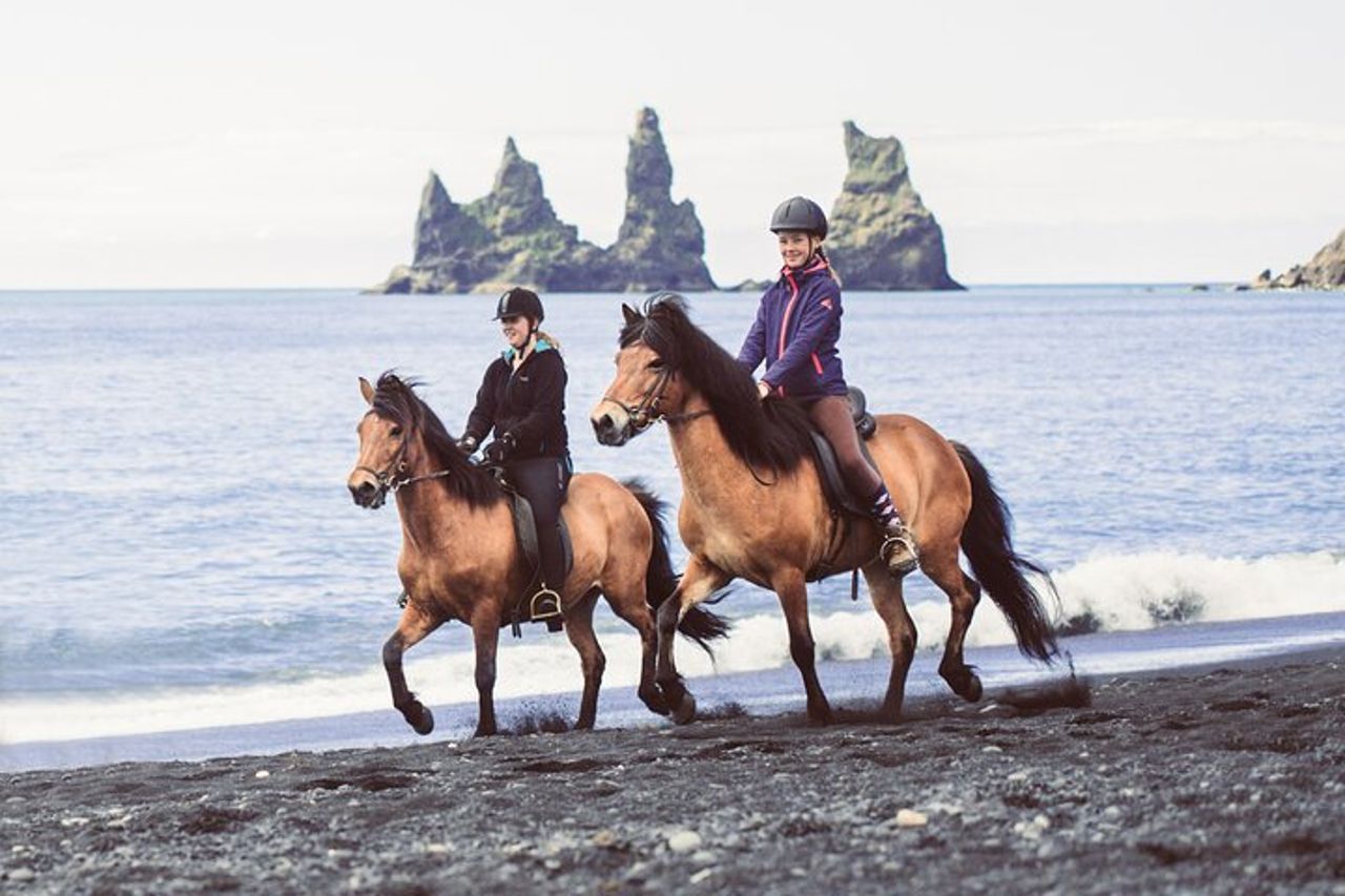 Tour a cavallo della Black Sand Beach da Vik — 3
