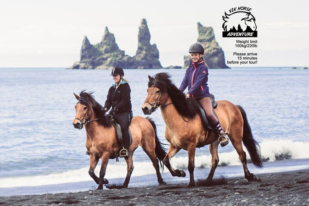 Tour a cavallo della Black Sand Beach da Vik — 2