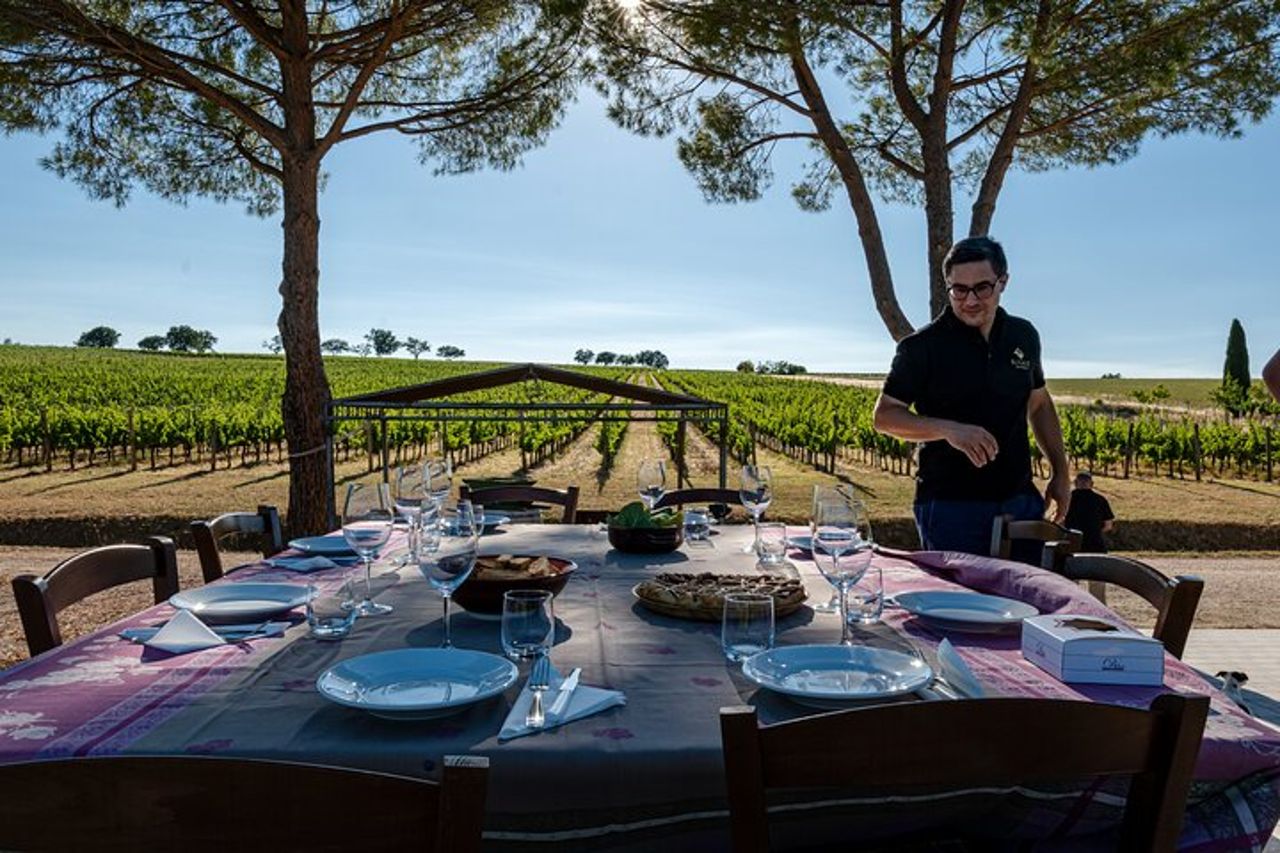 Bere e Magiare: Visita Vigneto e Cantina con Degustazione Privata — 3