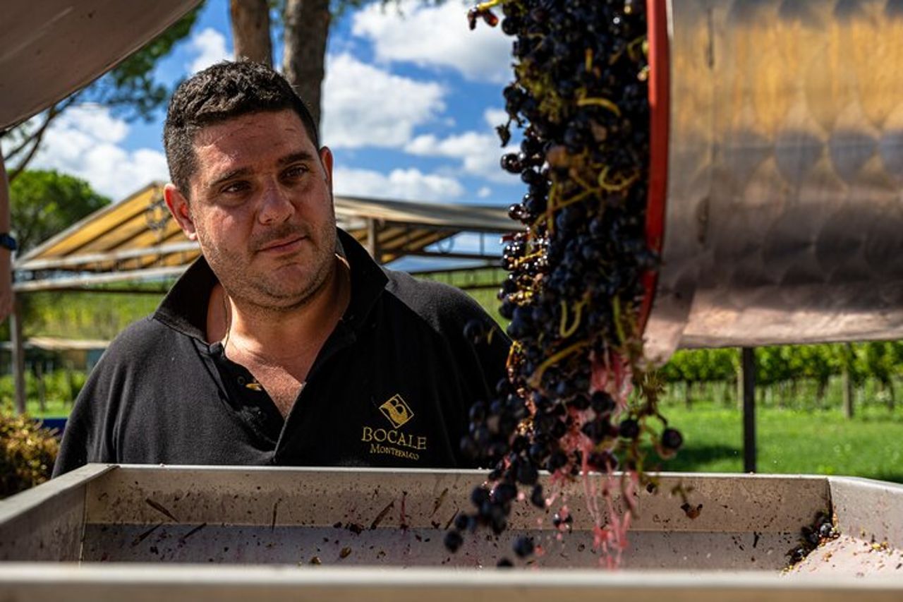 Bere e Magiare: Visita Vigneto e Cantina con Degustazione Privata — 7