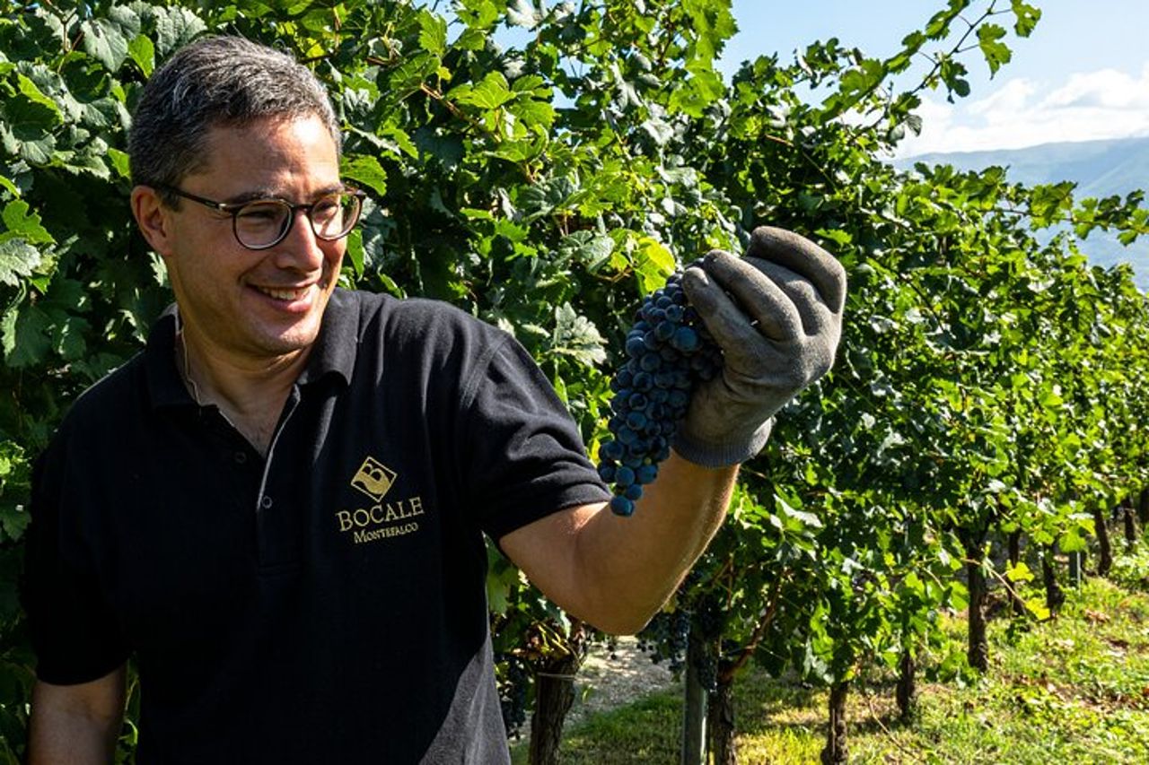 Bere e Magiare: Visita Vigneto e Cantina con Degustazione Privata — 8