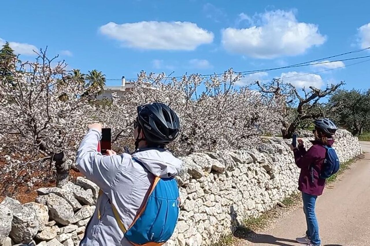 Tour Ebike Trulli Alberobello — 8