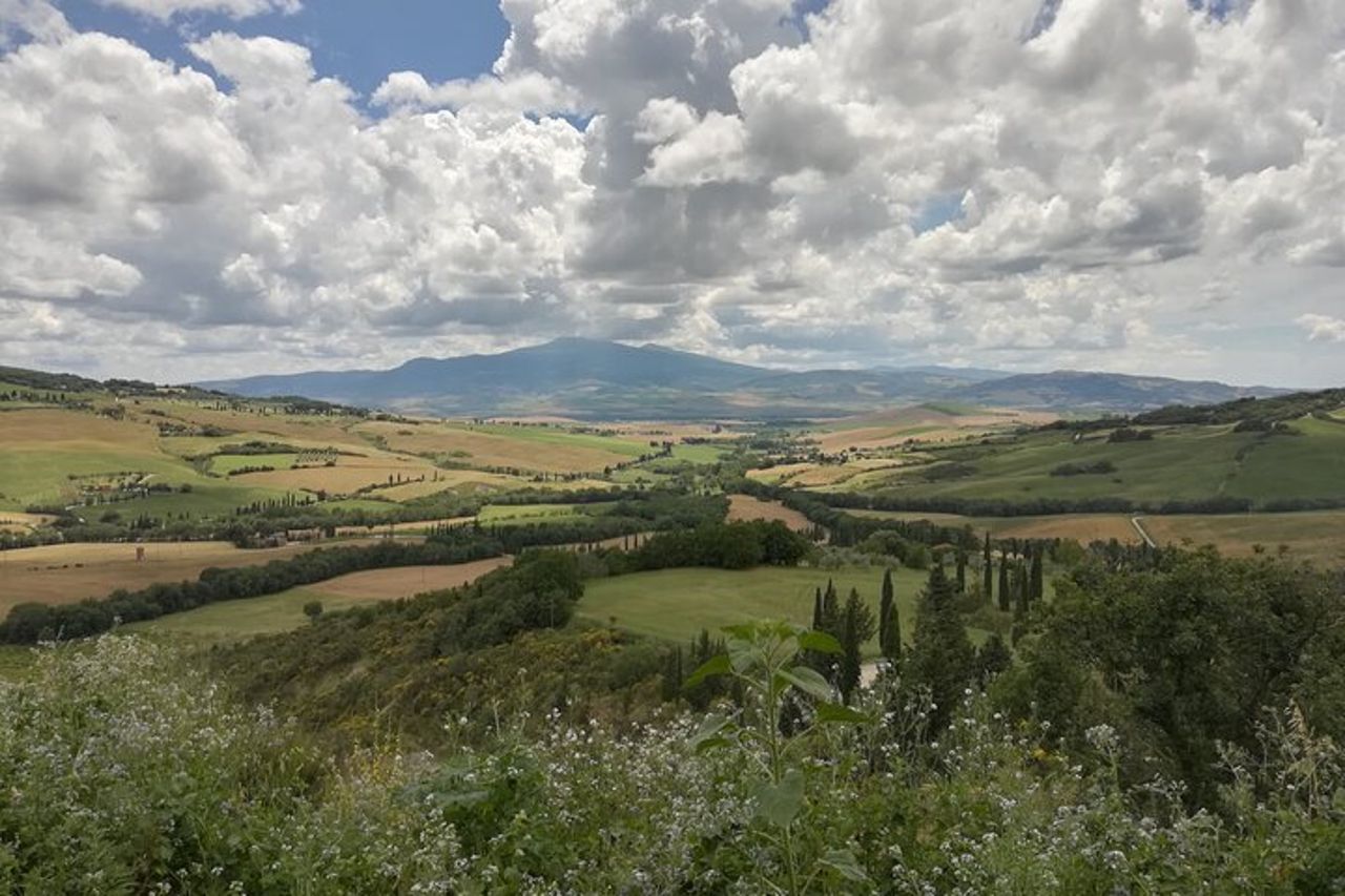 Siena a Roma: Orvieto e Montepulciano Transfer Tour — 3