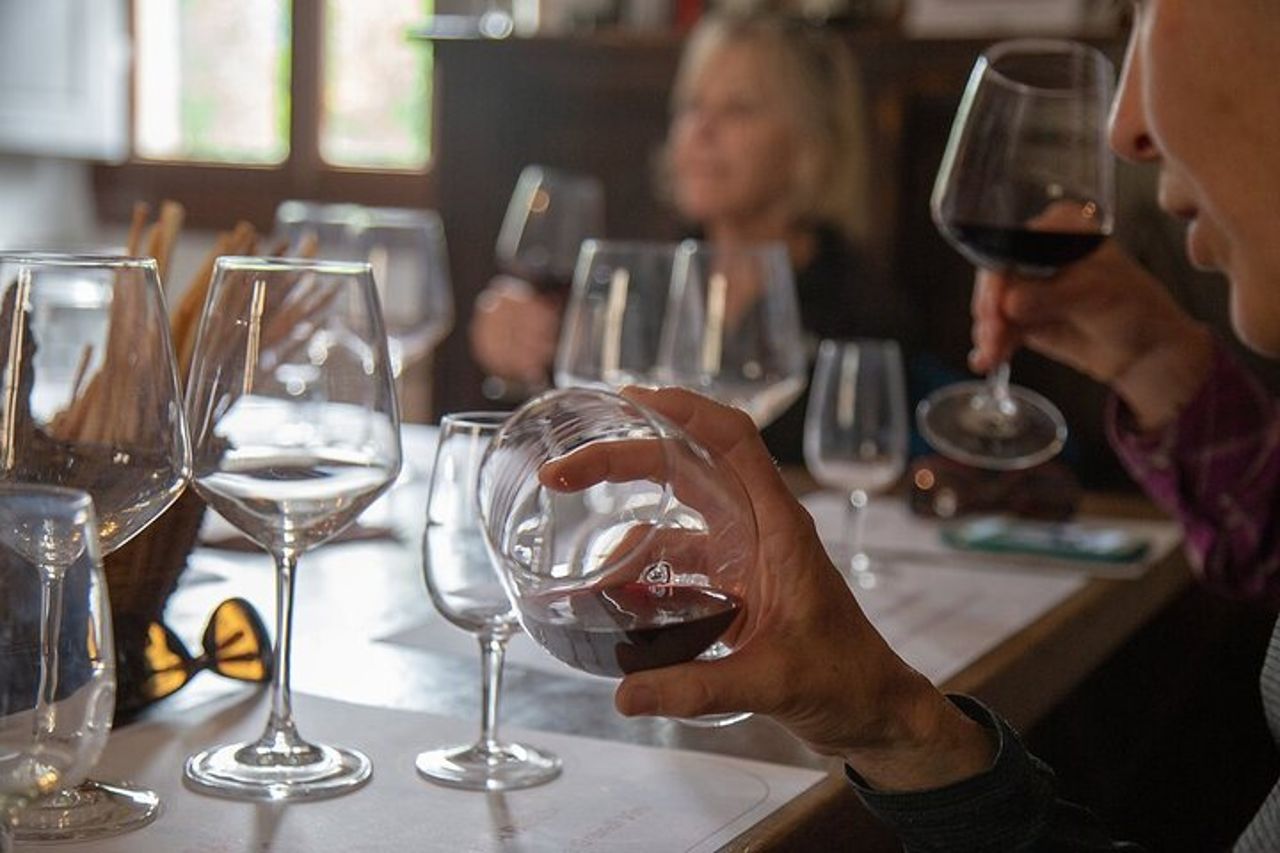 Attività di degustazione di vini nel Chianti Rufina — 4
