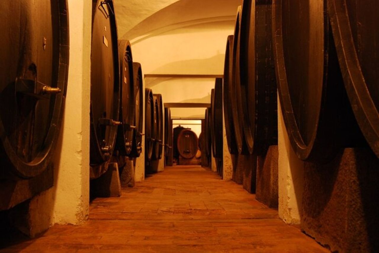 Attività di degustazione di vini nel Chianti Rufina — 6